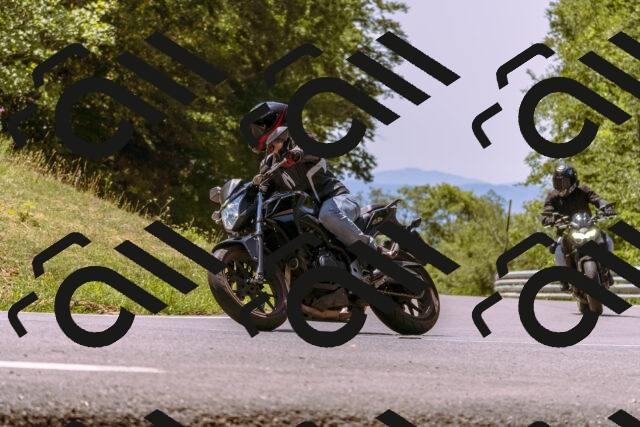 202508091228-_DSC6217_d1_