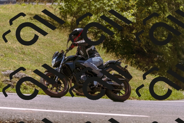 202508091228-_DSC6218_d1_