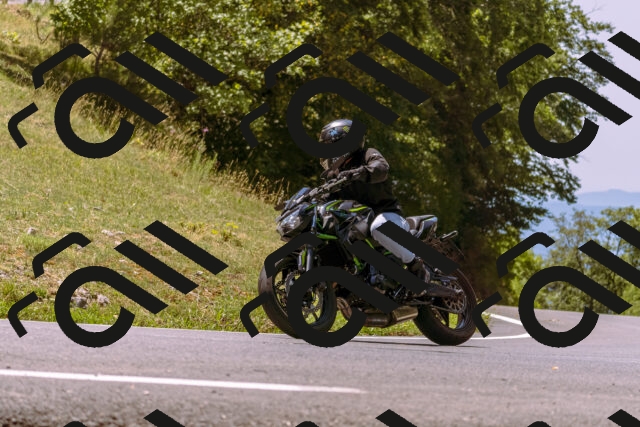 202508091228-_DSC6219_d1_