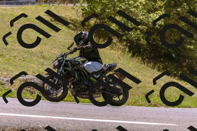 202508091228-_DSC6220_d1_