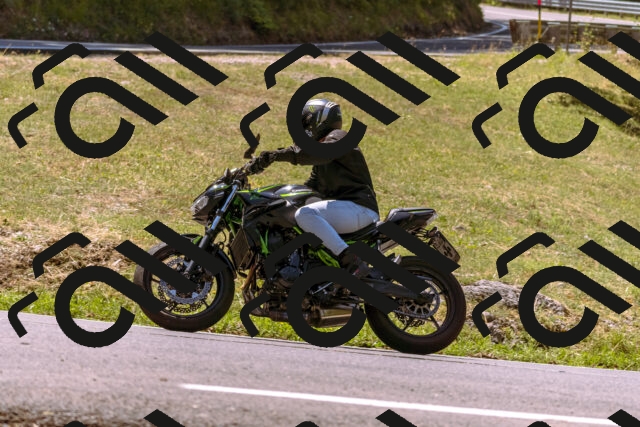 202508091228-_DSC6221_d1_