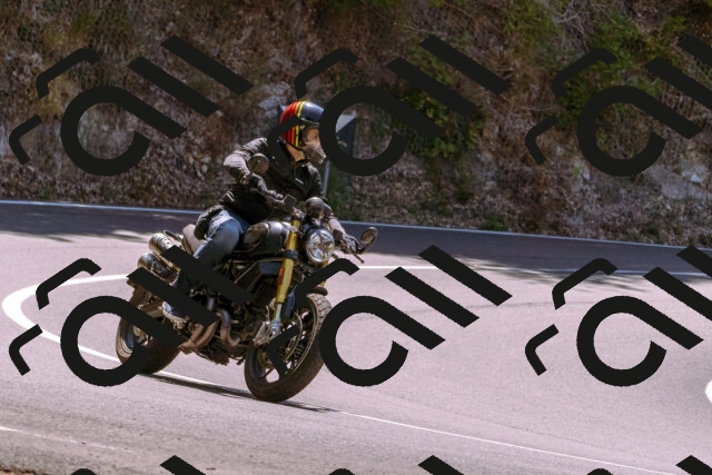 202508091232-_DSC6225_d1_