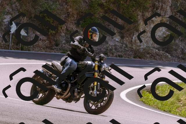 202508091232-_DSC6226_d1_