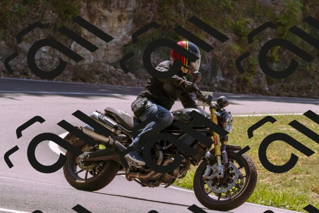 202508091232-_DSC6227_d1_