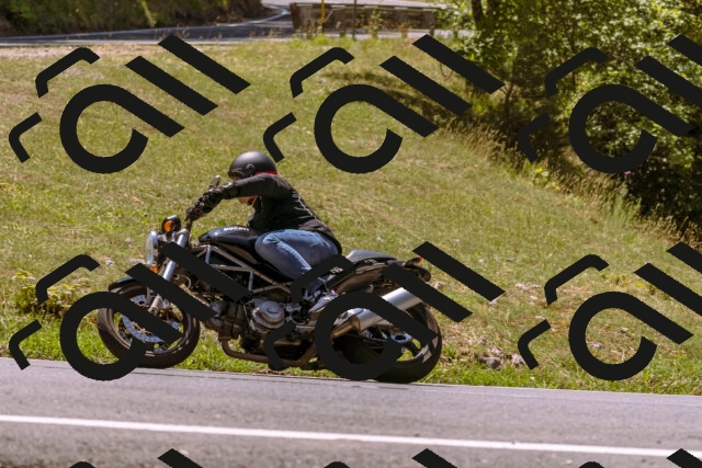 202508091235-_DSC6231_d1_