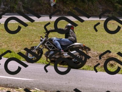 202508091235-_DSC6233_d1_