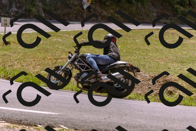 202508091235-_DSC6233_d1_