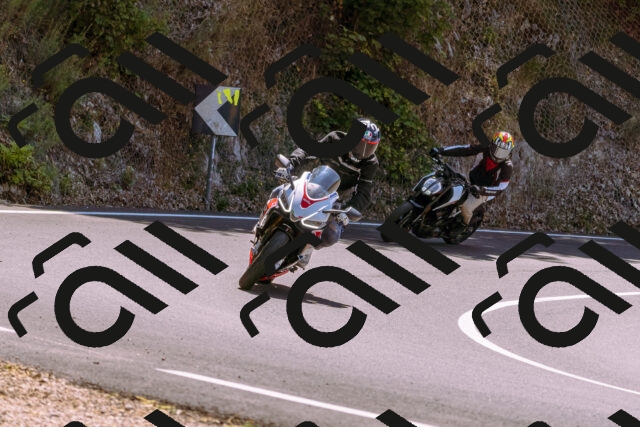 202508091236-_DSC6234_d1_