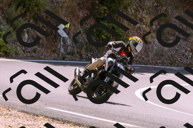 202508091236-_DSC6236_d1_