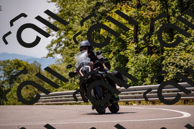 202508091254-_DSC1884_d2_