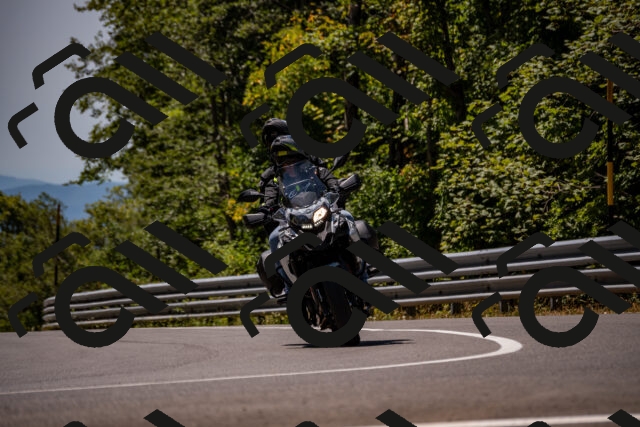 202508091254-_DSC1888_d2_