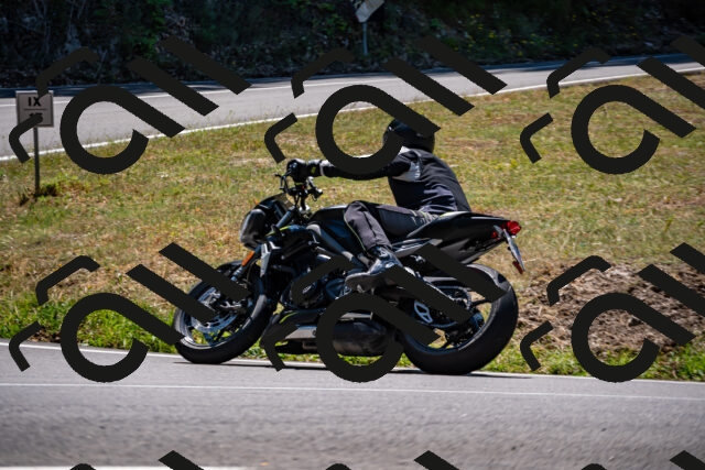 202508091258-_DSC1901_d2_