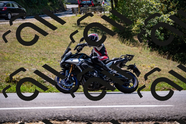 202508091258-_DSC1904_d2_