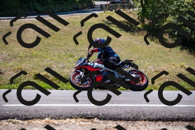 202508091258-_DSC1906_d2_