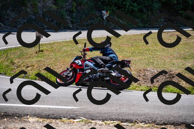 202508091258-_DSC1908_d2_