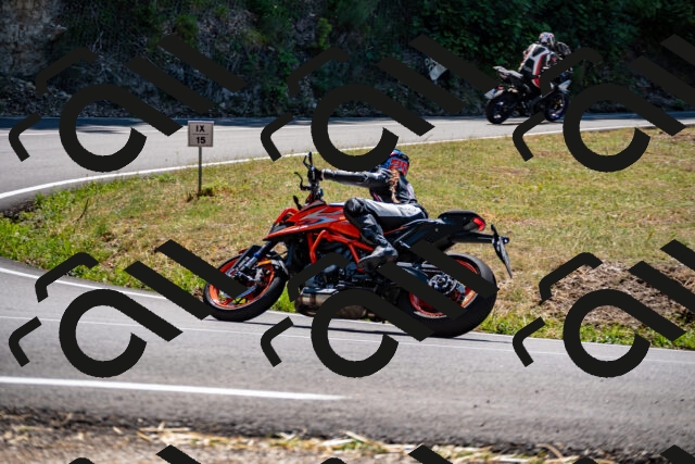 202508091258-_DSC1910_d2_