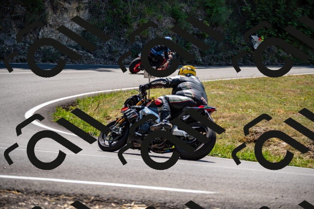 202508091258-_DSC1913_d2_