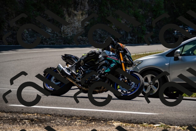 202508091300-_DSC1929_d2_