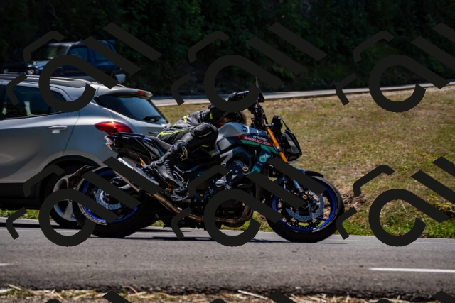 202508091300-_DSC1930_d2_