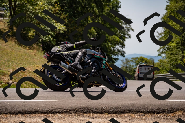 202508091300-_DSC1932_d2_