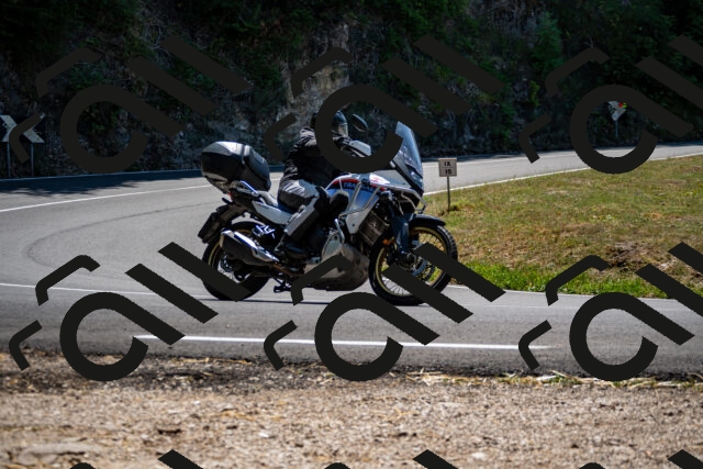 202508091305-_DSC1938_d2_