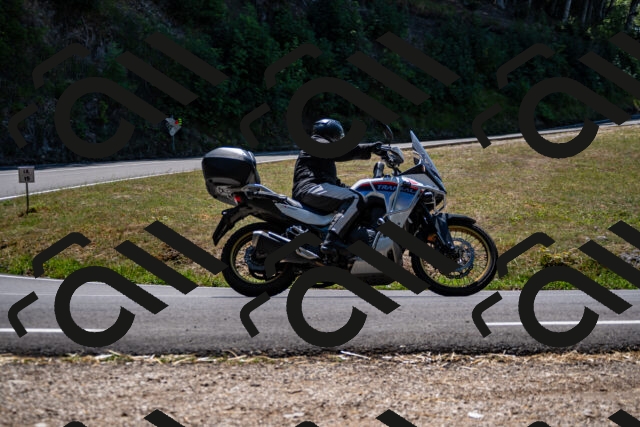 202508091305-_DSC1939_d2_