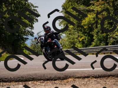 202508091306-_DSC1942_d2_