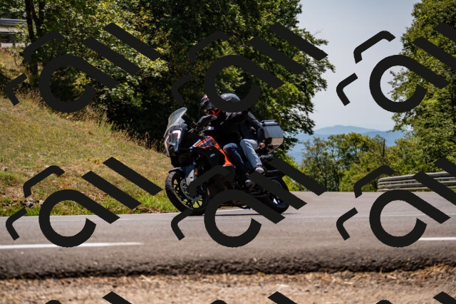 202508091306-_DSC1943_d2_