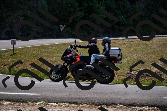 202508091306-_DSC1945_d2_