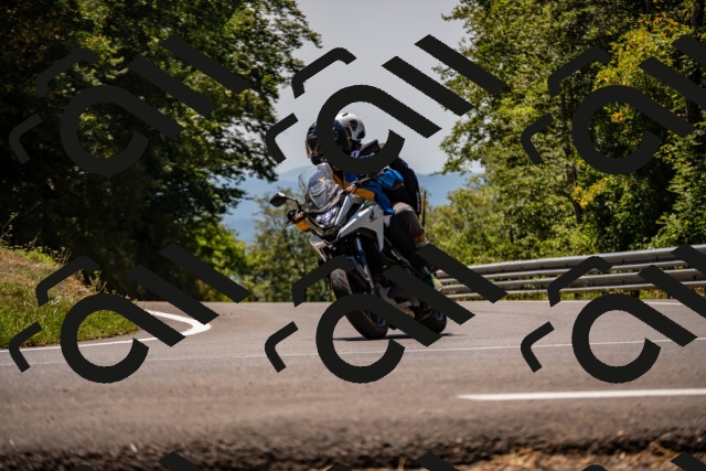 202508091306-_DSC1946_d2_