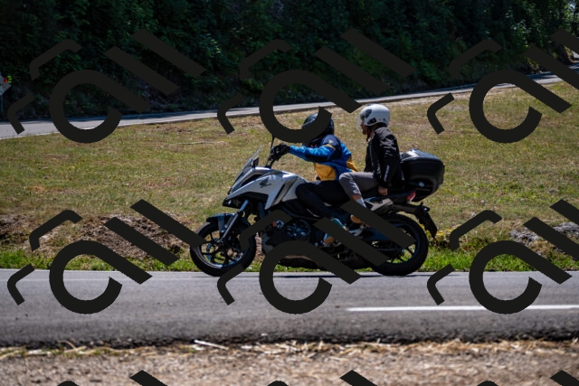 202508091306-_DSC1948_d2_