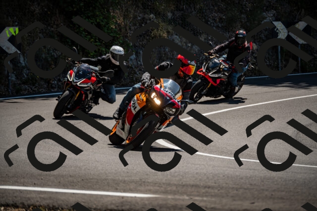 202508091306-_DSC1949_d2_