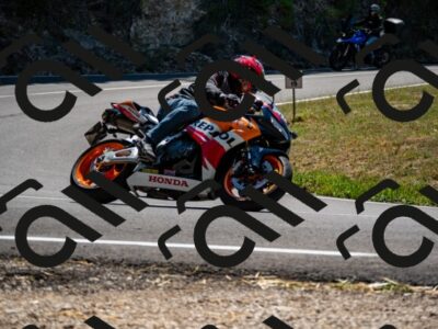 202508091306-_DSC1951_d2_