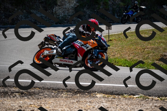 202508091306-_DSC1951_d2_