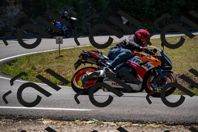 202508091306-_DSC1952_d2_