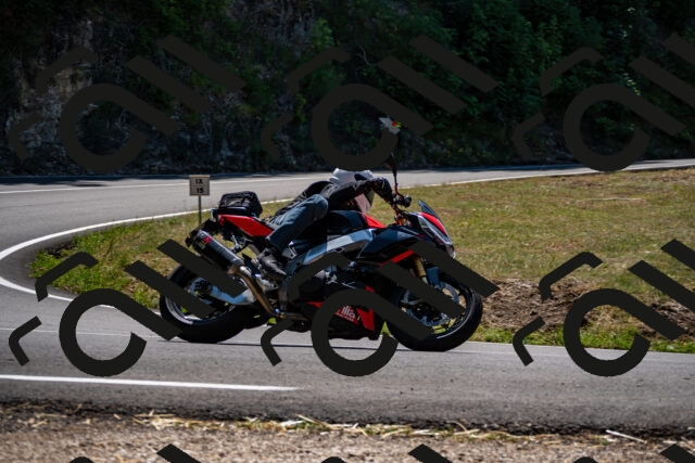 202508091306-_DSC1954_d2_