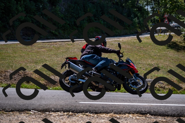 202508091306-_DSC1956_d2_