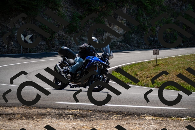 202508091306-_DSC1957_d2_