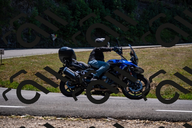 202508091306-_DSC1958_d2_