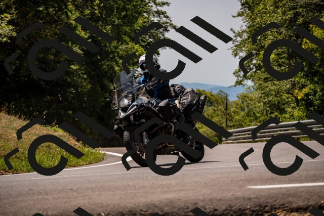 202508091307-_DSC1960_d2_