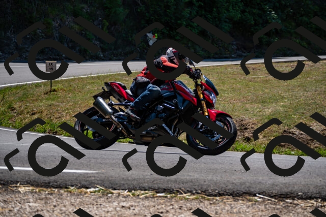 202508091310-_DSC1978_d2_