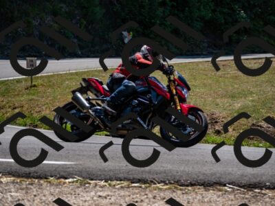 202508091310-_DSC1978_d2_