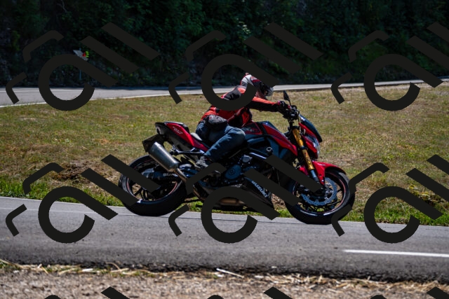 202508091310-_DSC1979_d2_