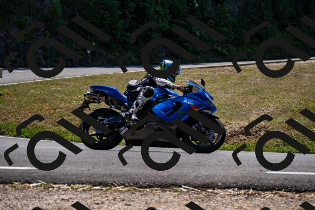 202508091310-_DSC1980_d2_