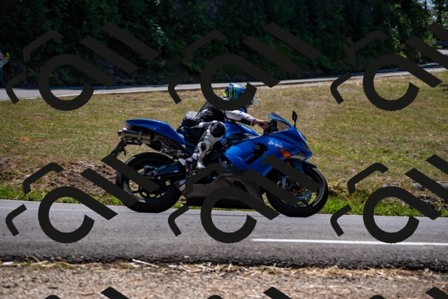 202508091310-_DSC1981_d2_