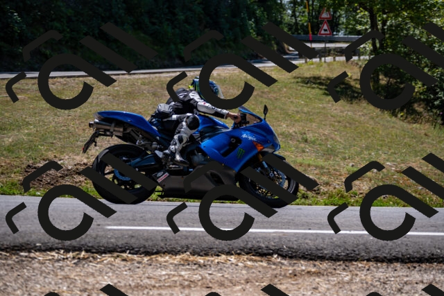 202508091310-_DSC1982_d2_