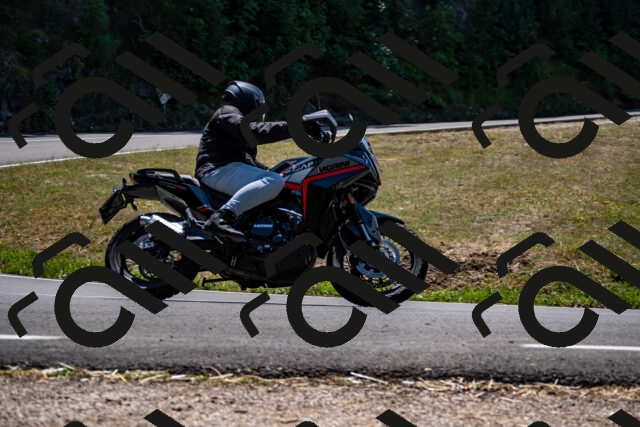 202508091310-_DSC1983_d2_