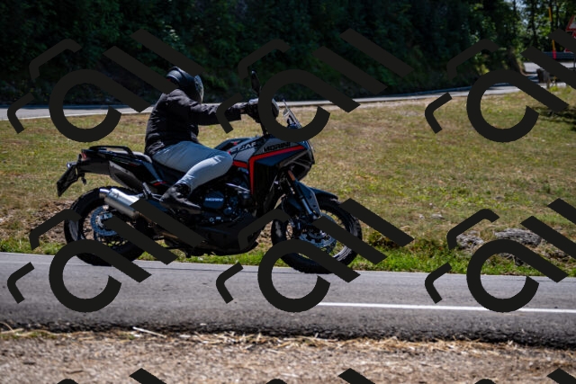 202508091310-_DSC1984_d2_