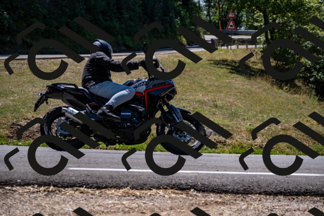 202508091310-_DSC1985_d2_