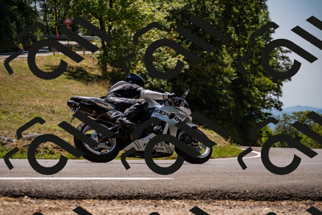 202508091310-_DSC1988_d2_